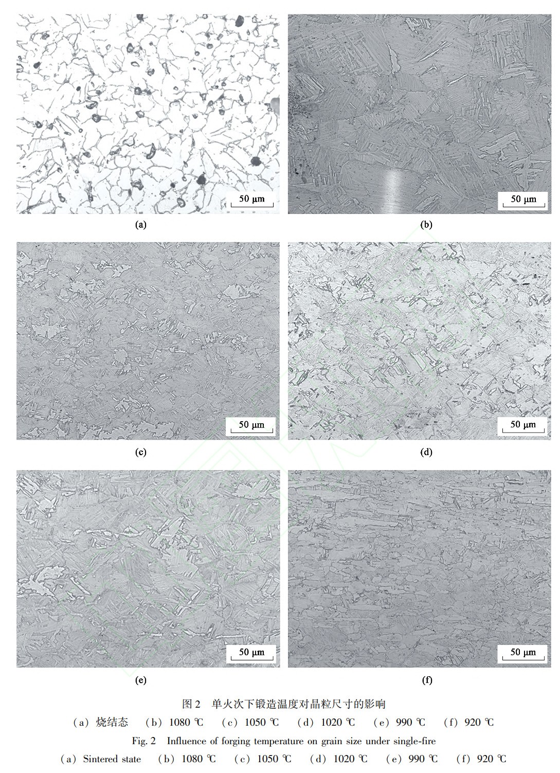 1737989559827535.jpg 2.jpg